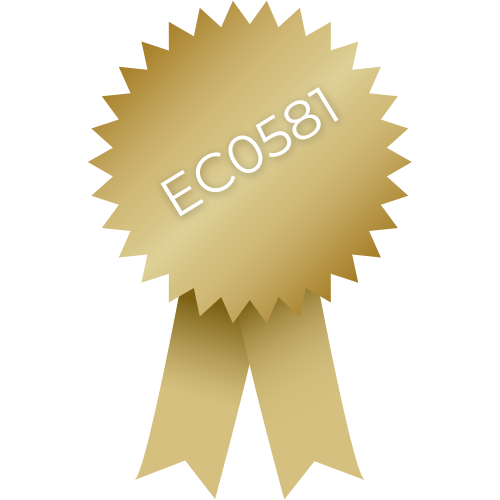 Certificación en Estandar EC0581 de CONOCER por Estrategias Neuroeducativas S.C.